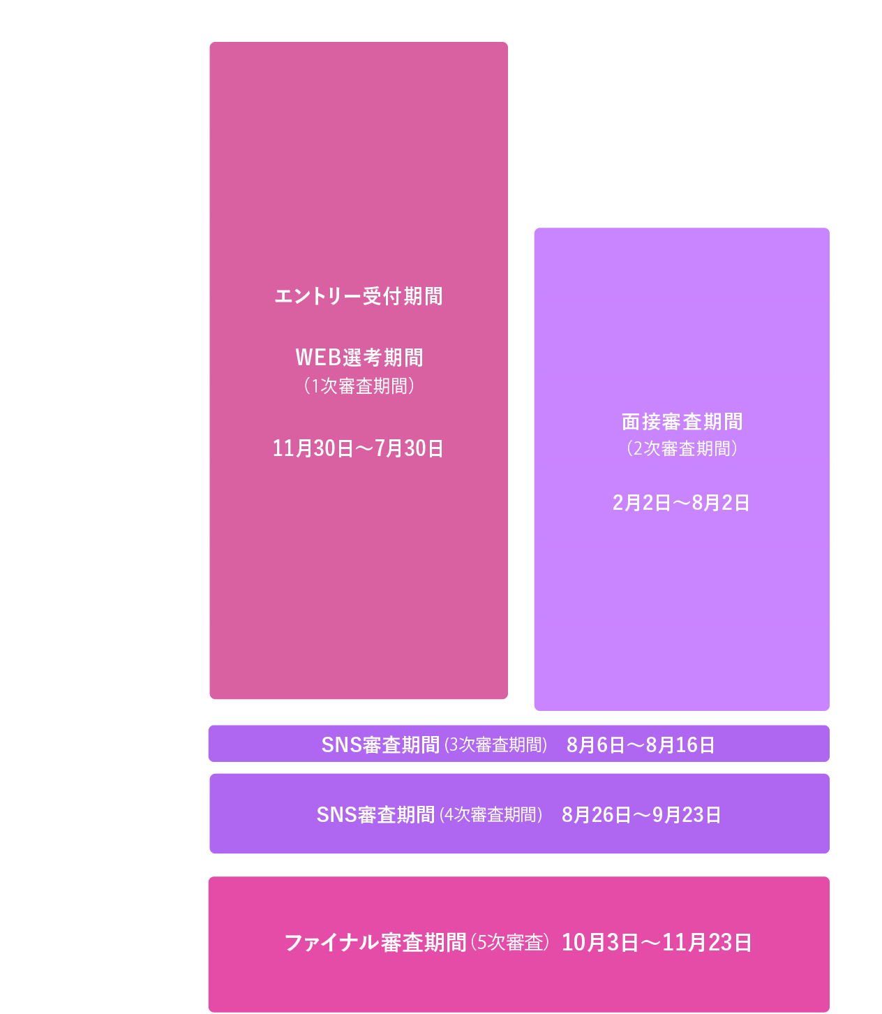 審査スケジュール